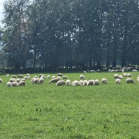 Domcok Pod Tatrami 豪华帐篷 Važec